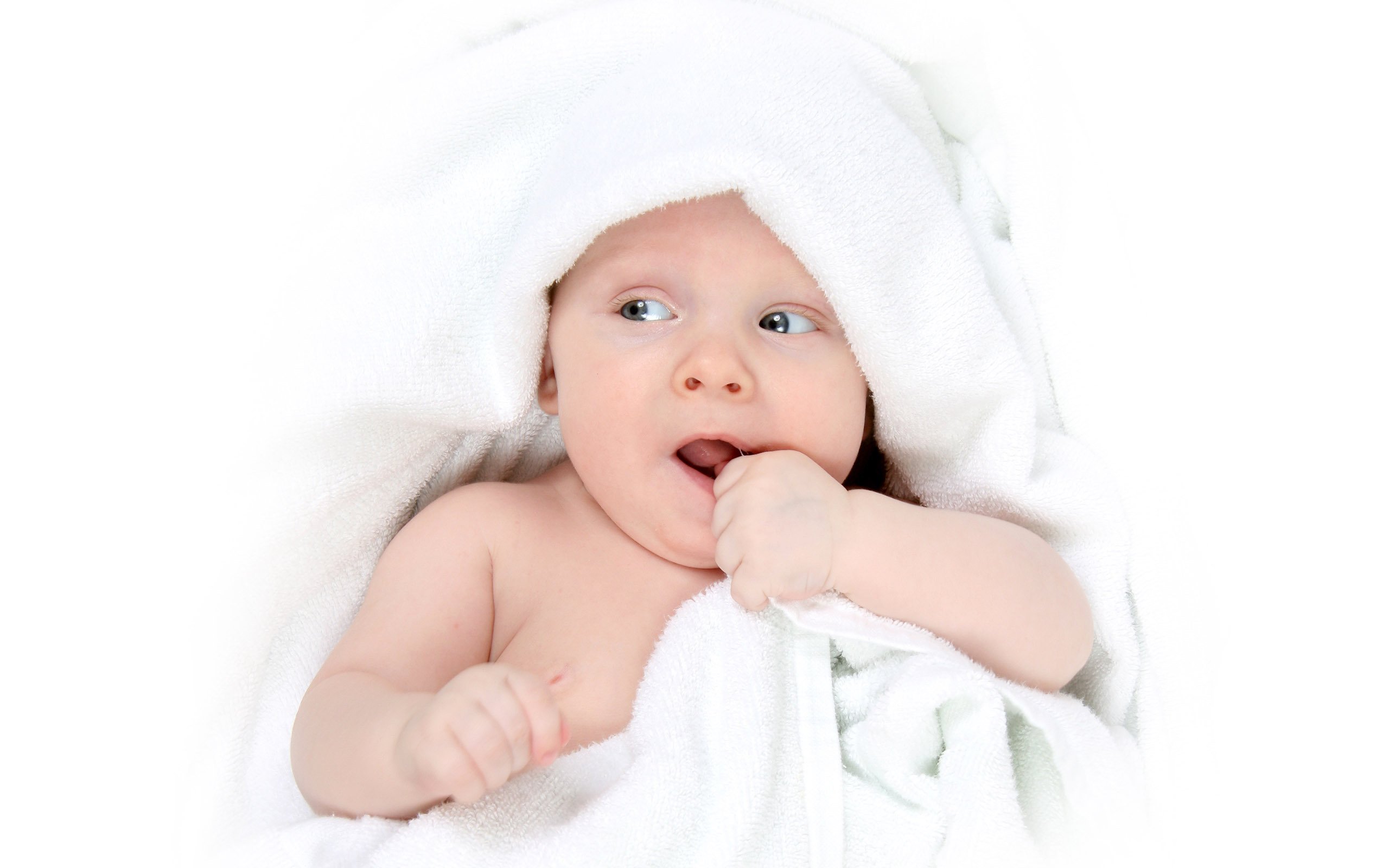 捐卵网试管婴儿冻胚养囊胚成功率